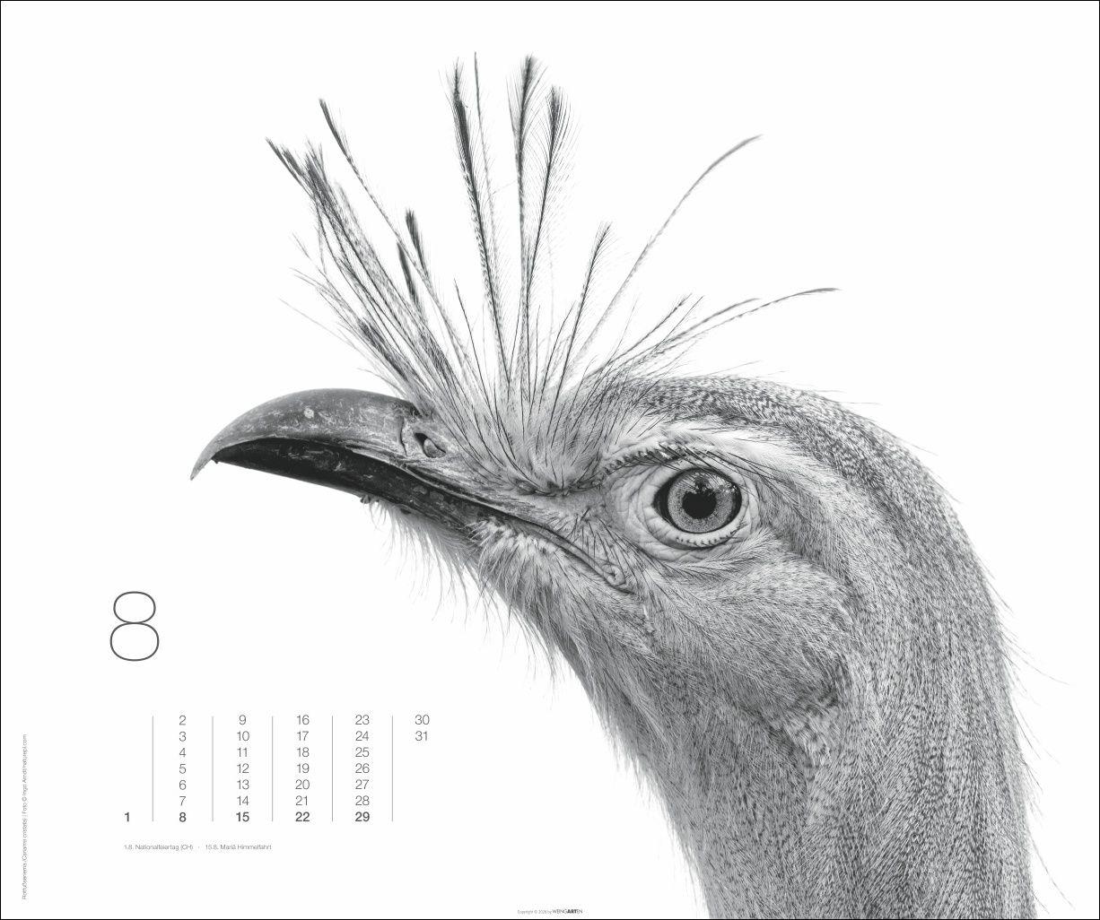 Beispielinhalt (Bild) Black & White Animals 2027