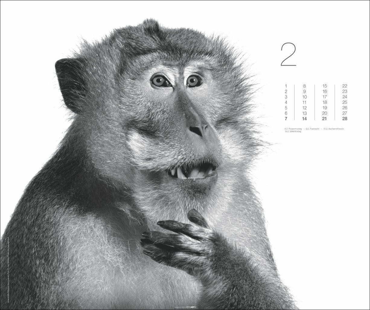 Beispielinhalt (Bild) Black & White Animals 2027