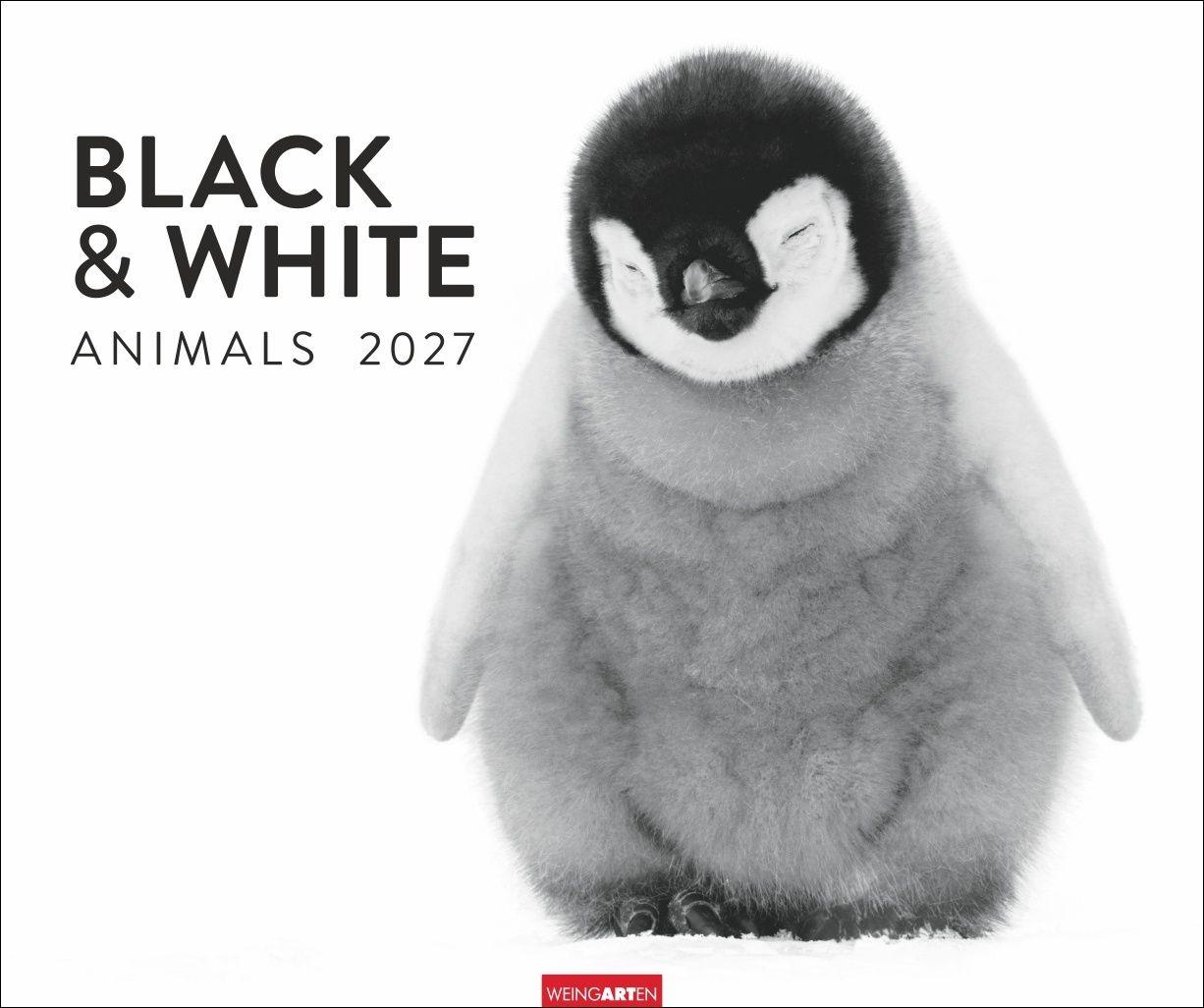 Vorderes Coverbild Black & White Animals 2027