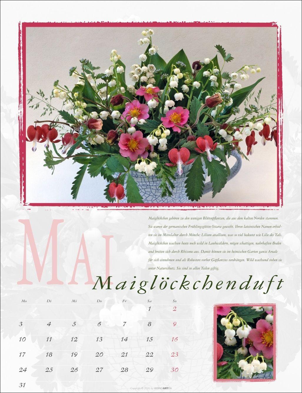 Beispielinhalt (Bild) Duftkalender 2027