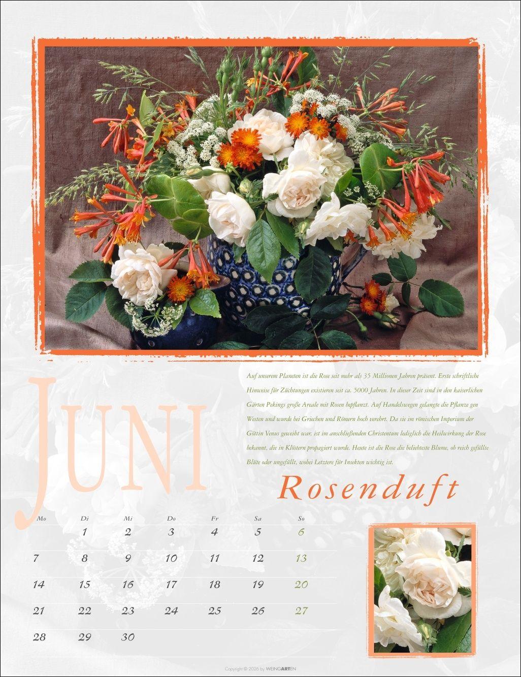 Beispielinhalt (Bild) Duftkalender 2027