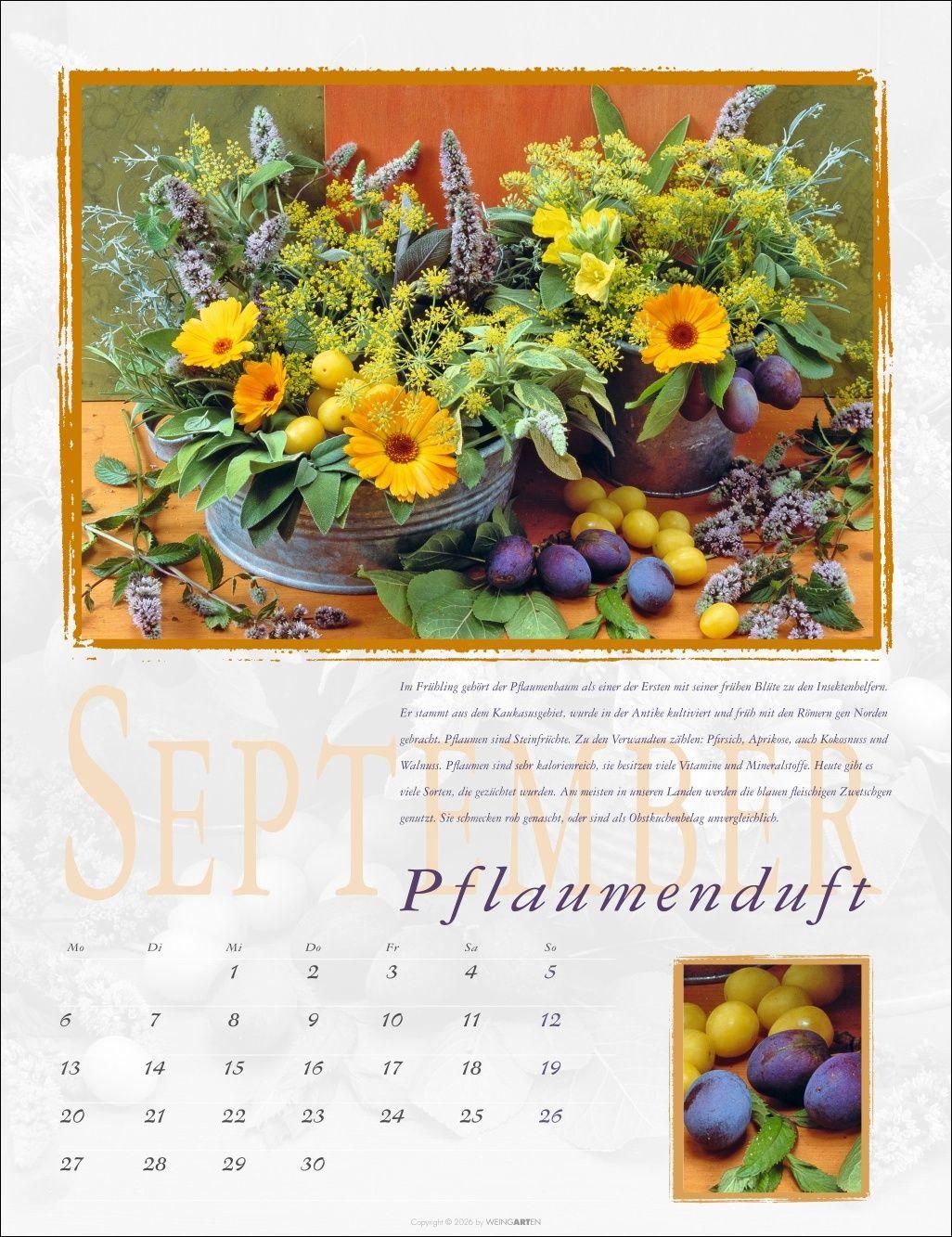 Beispielinhalt (Bild) Duftkalender 2027