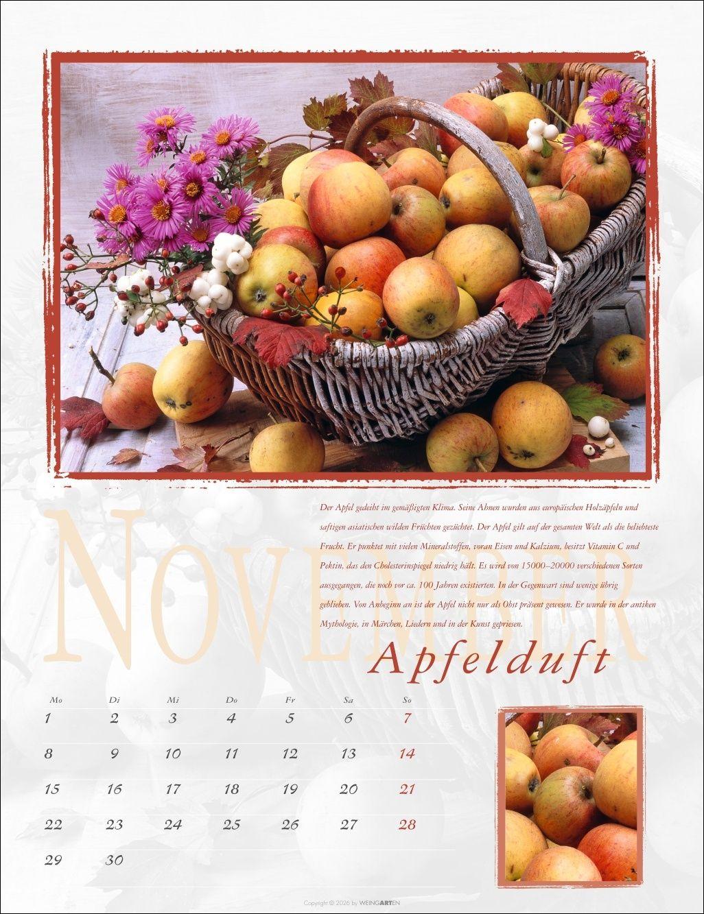 Beispielinhalt (Bild) Duftkalender 2027