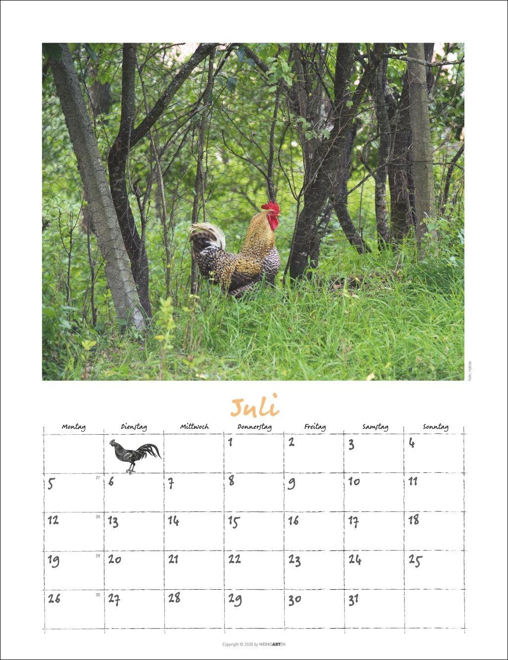Beispielinhalt (Bild) Der Hühnerkalender 2027
