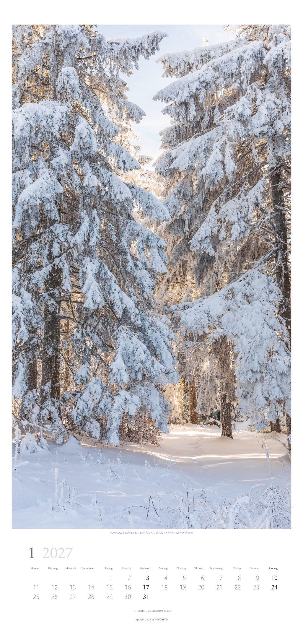 Beispielinhalt (Bild) Im Wald Kalender 2027