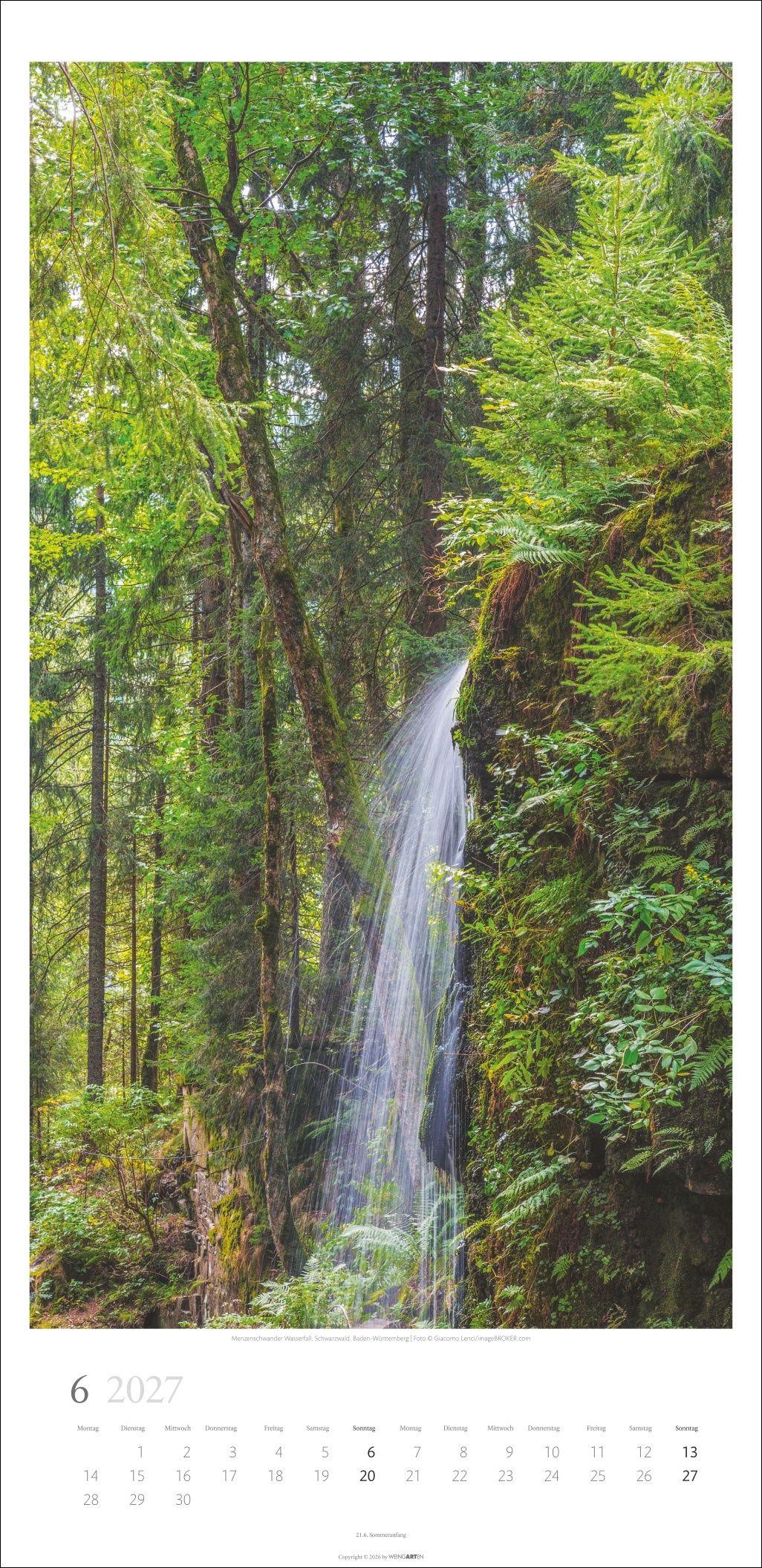 Beispielinhalt (Bild) Im Wald Kalender 2027