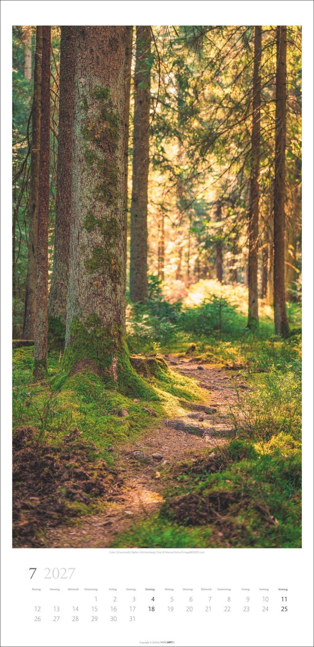 Beispielinhalt (Bild) Im Wald Kalender 2027