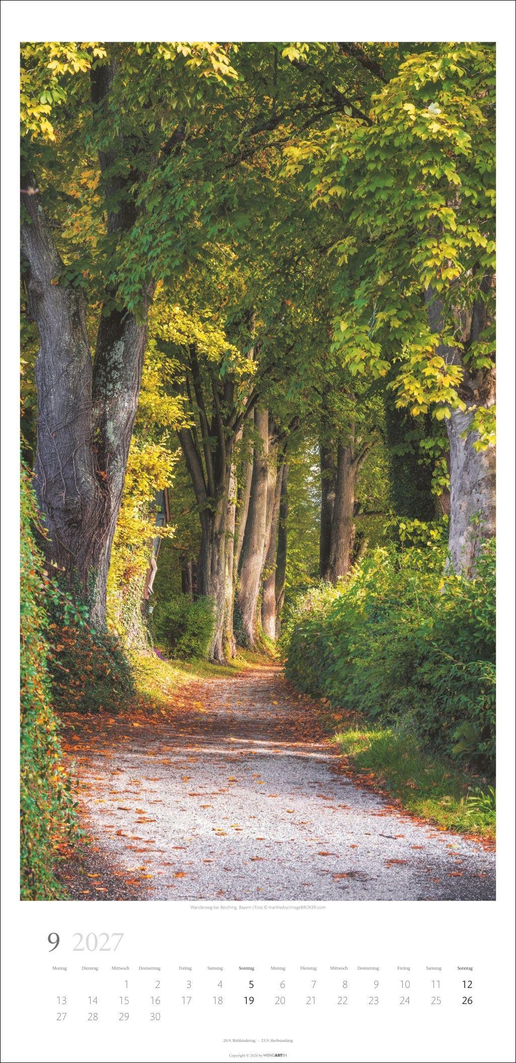 Beispielinhalt (Bild) Im Wald Kalender 2027