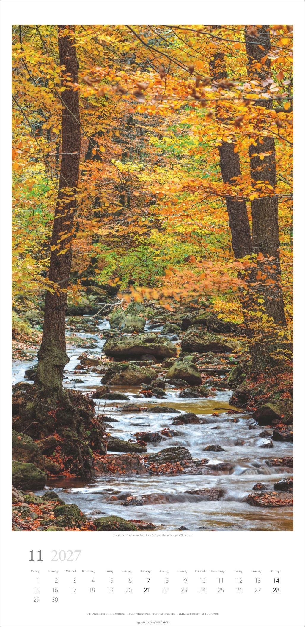 Beispielinhalt (Bild) Im Wald Kalender 2027