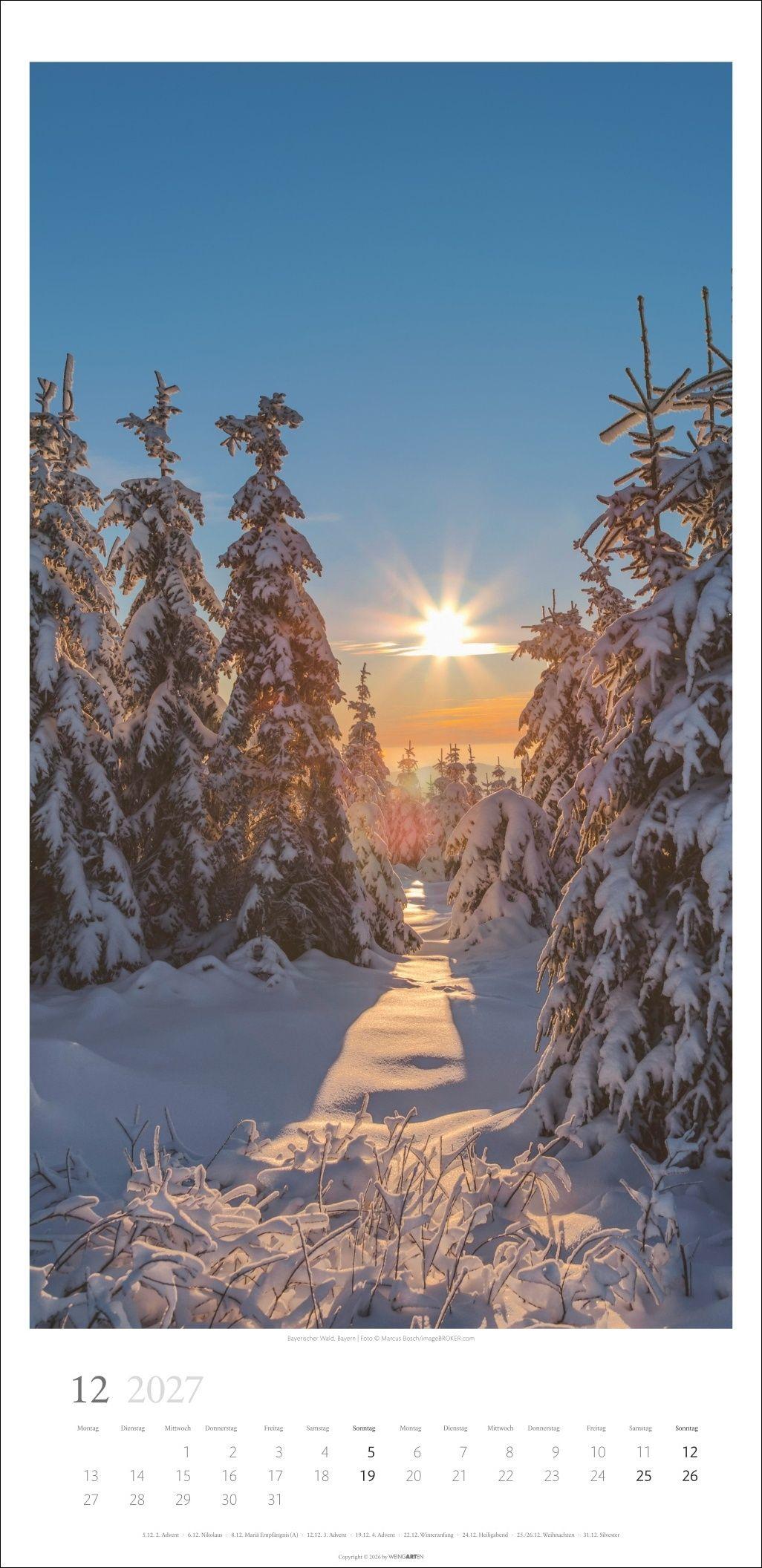 Beispielinhalt (Bild) Im Wald Kalender 2027