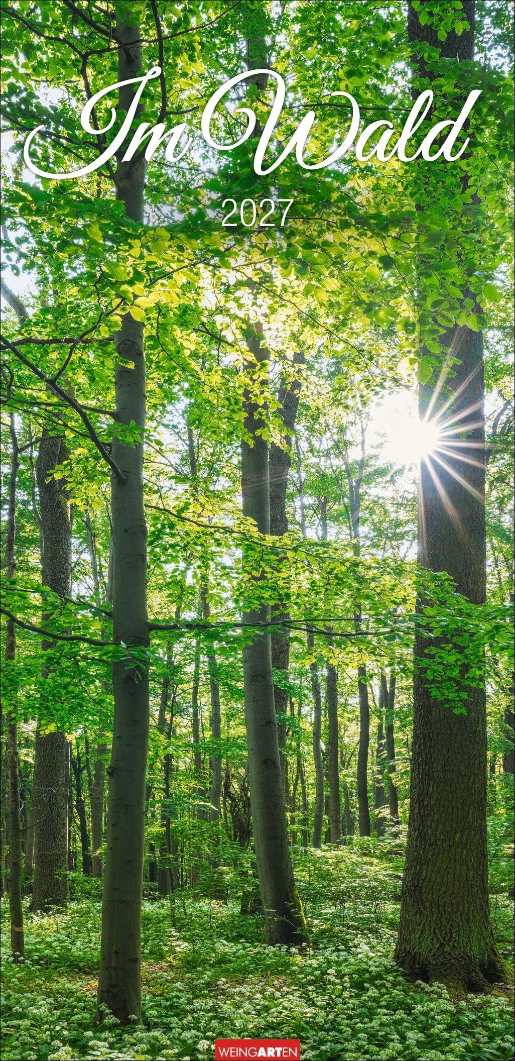 Vorderes Coverbild Im Wald Kalender 2027
