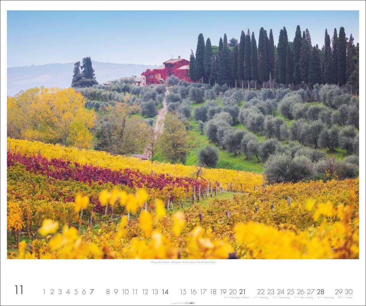 Beispielinhalt (Bild) Toskana Kalender 2027 - Zypressen und das Licht des Südens