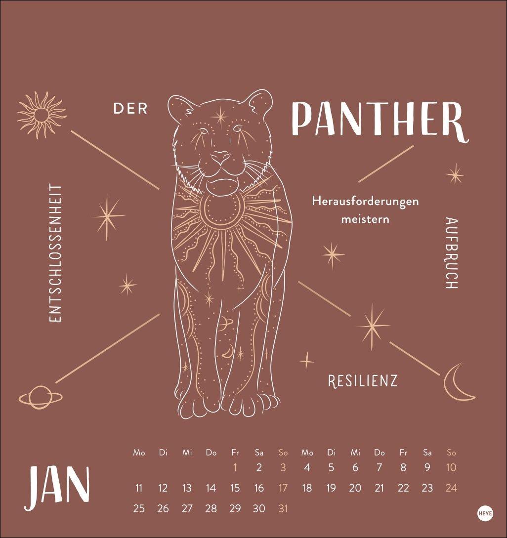 Beispielinhalt (Bild) Krafttiere Postkartenkalender 2027