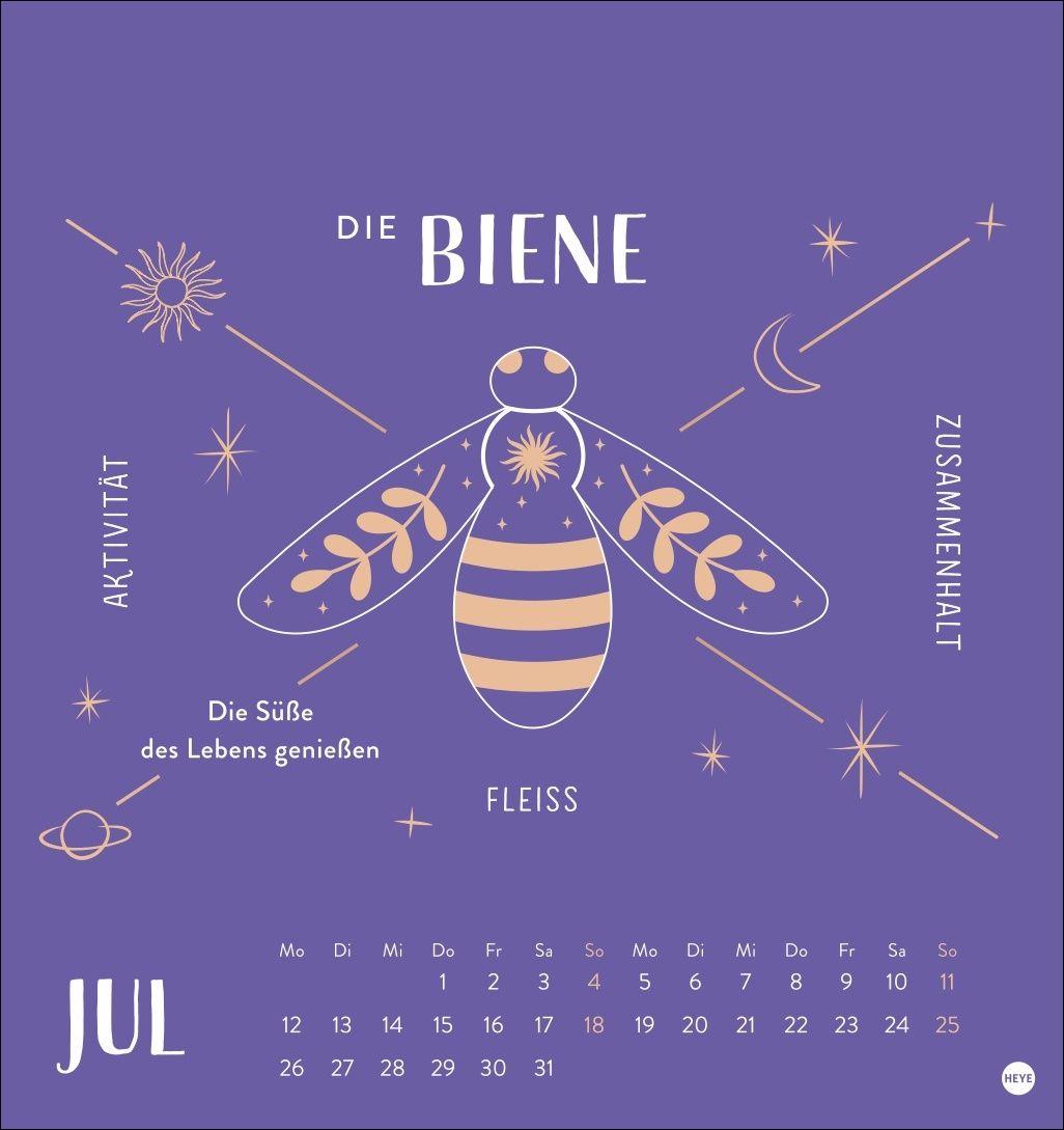 Beispielinhalt (Bild) Krafttiere Postkartenkalender 2027