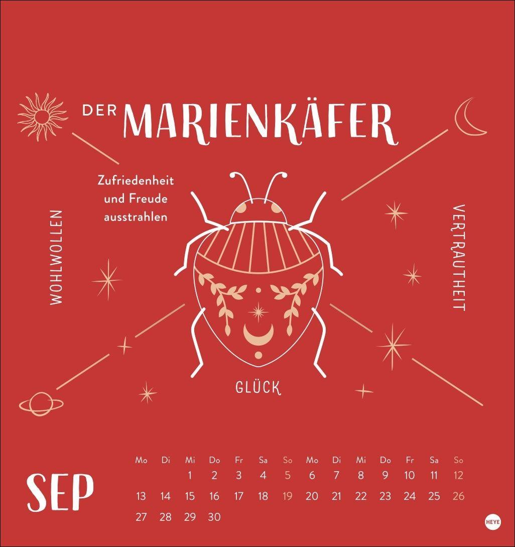 Beispielinhalt (Bild) Krafttiere Postkartenkalender 2027