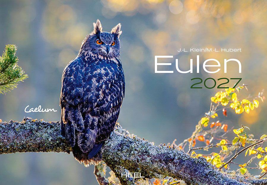 Vorderes Coverbild Eulen Kalender 2027