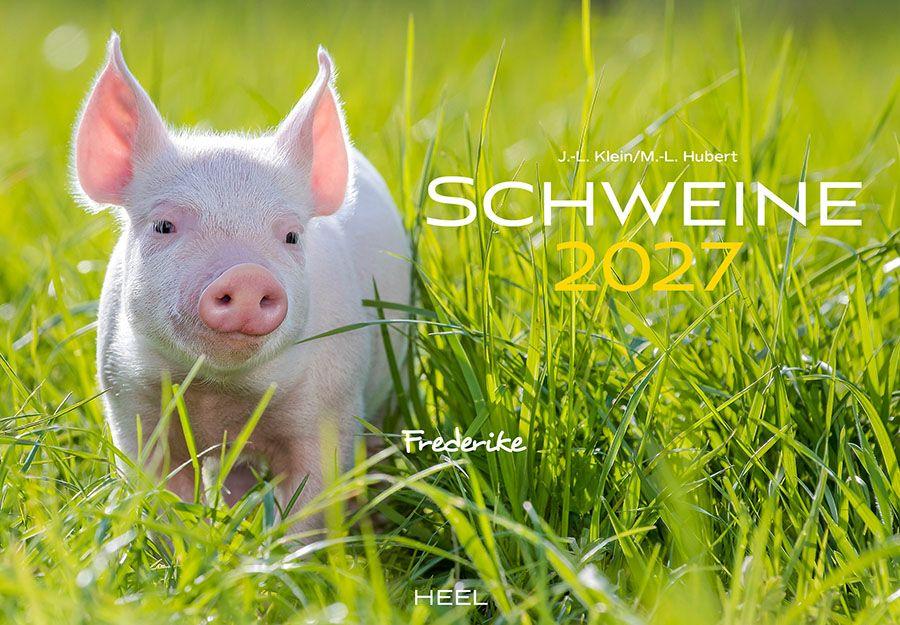 Vorderes Coverbild Schweine Kalender 2027