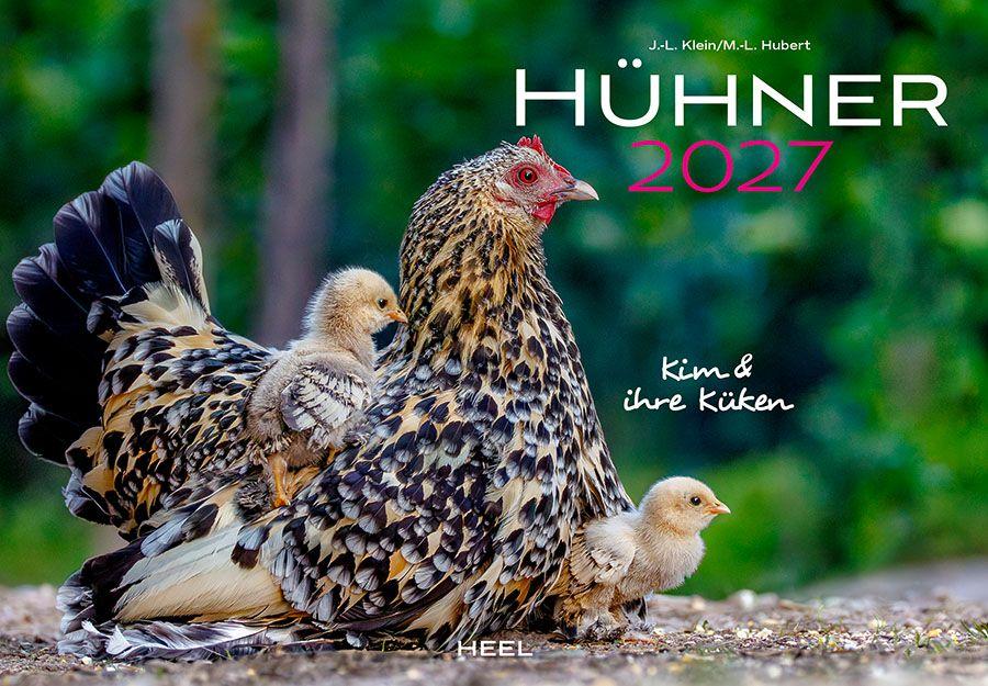 Vorderes Coverbild Hühner Kalender 2027