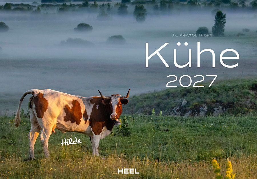 Vorderes Coverbild Kühe Kalender 2027 Wandkalender