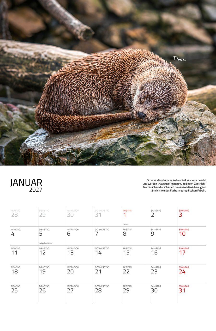 Beispielinhalt (Bild) Otter Kalender 2027 Wandkalender Eintragkalender