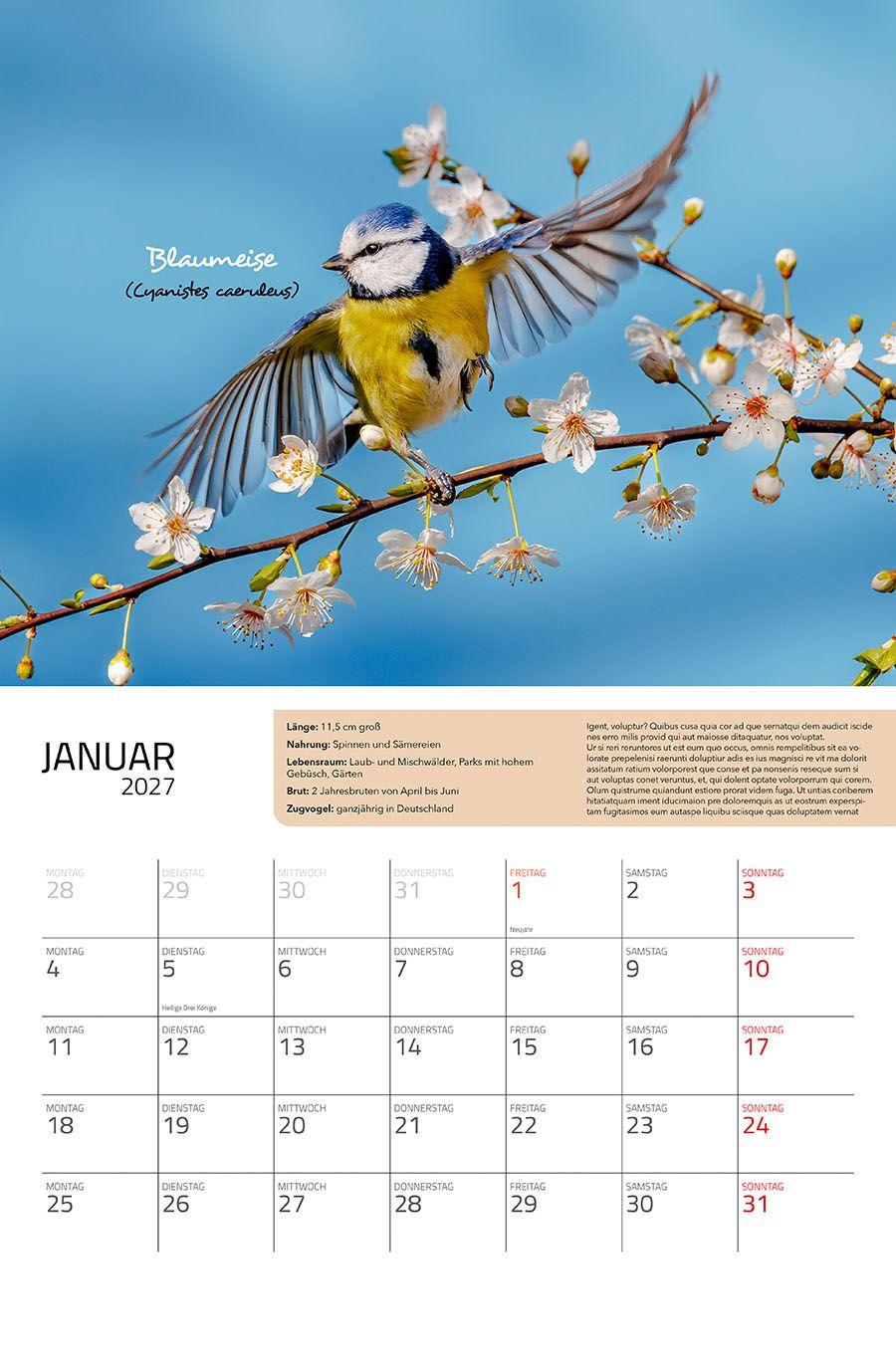 Beispielinhalt (Bild) Unsere Gartenvögel 2027 Eintragkalender