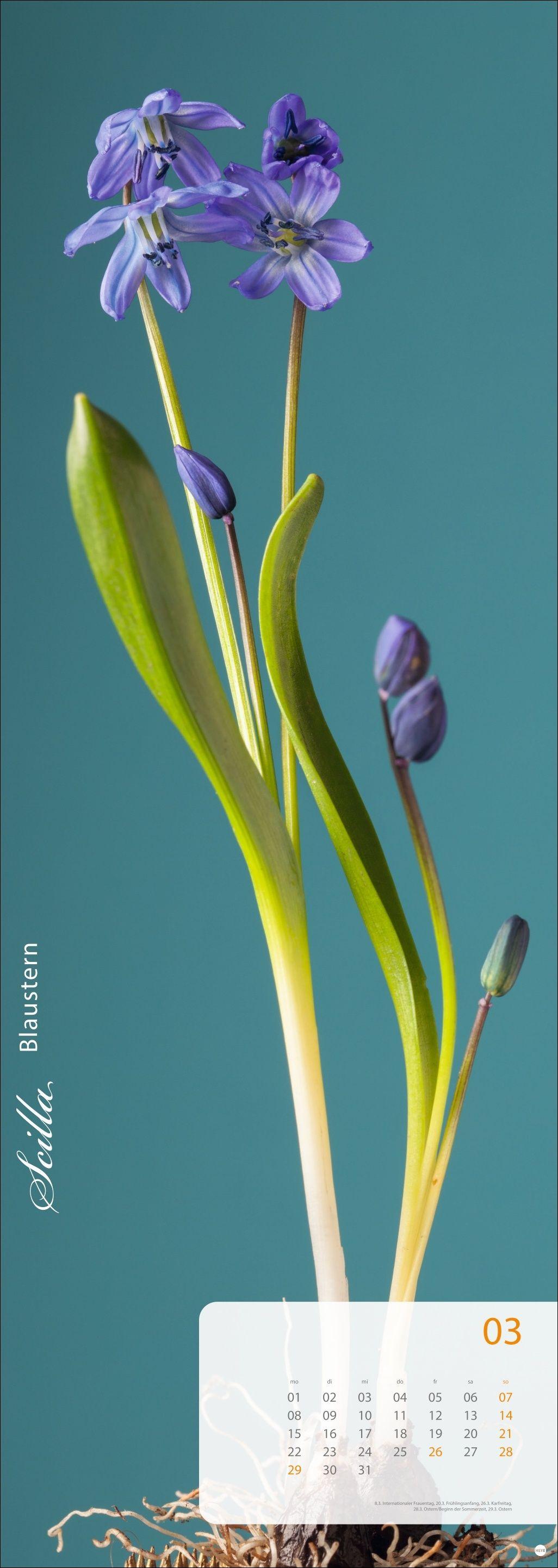Beispielinhalt (Bild) Magic Flowers Vertical Kalender 2027