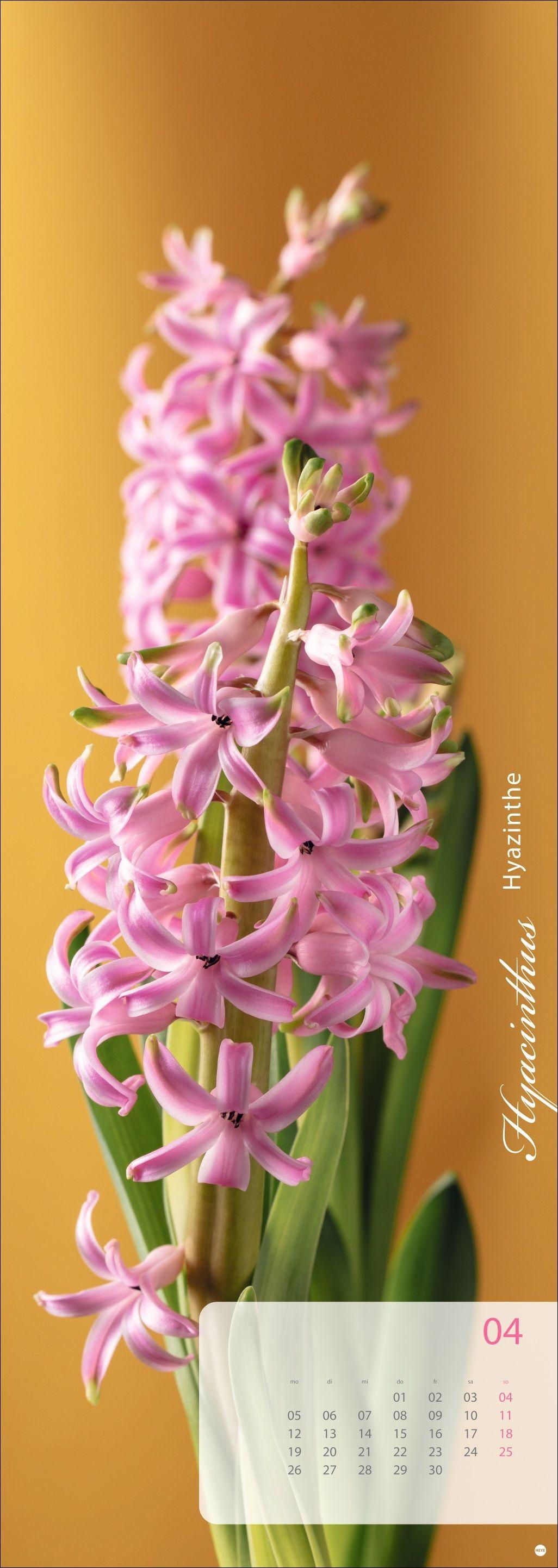 Beispielinhalt (Bild) Magic Flowers Vertical Kalender 2027