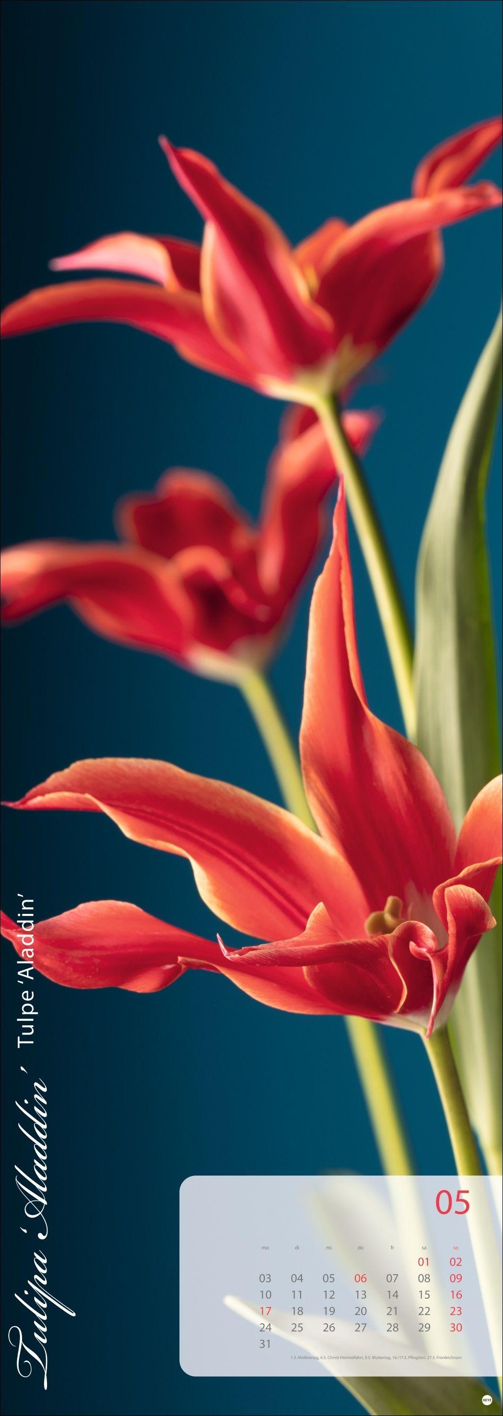 Beispielinhalt (Bild) Magic Flowers Vertical Kalender 2027