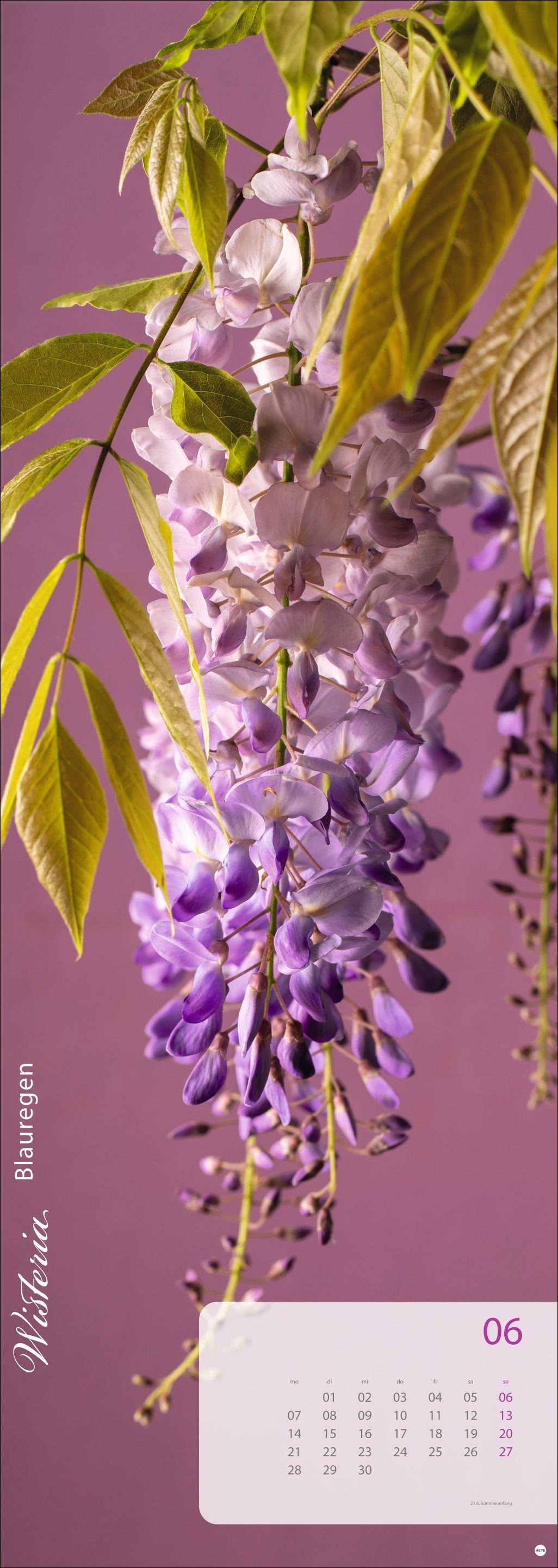 Beispielinhalt (Bild) Magic Flowers Vertical Kalender 2027