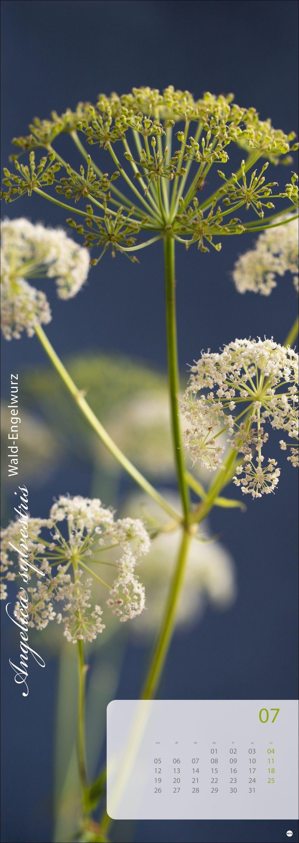 Beispielinhalt (Bild) Magic Flowers Vertical Kalender 2027