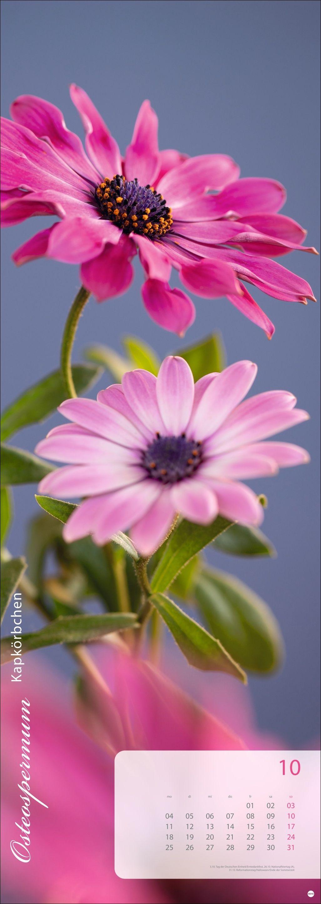 Beispielinhalt (Bild) Magic Flowers Vertical Kalender 2027
