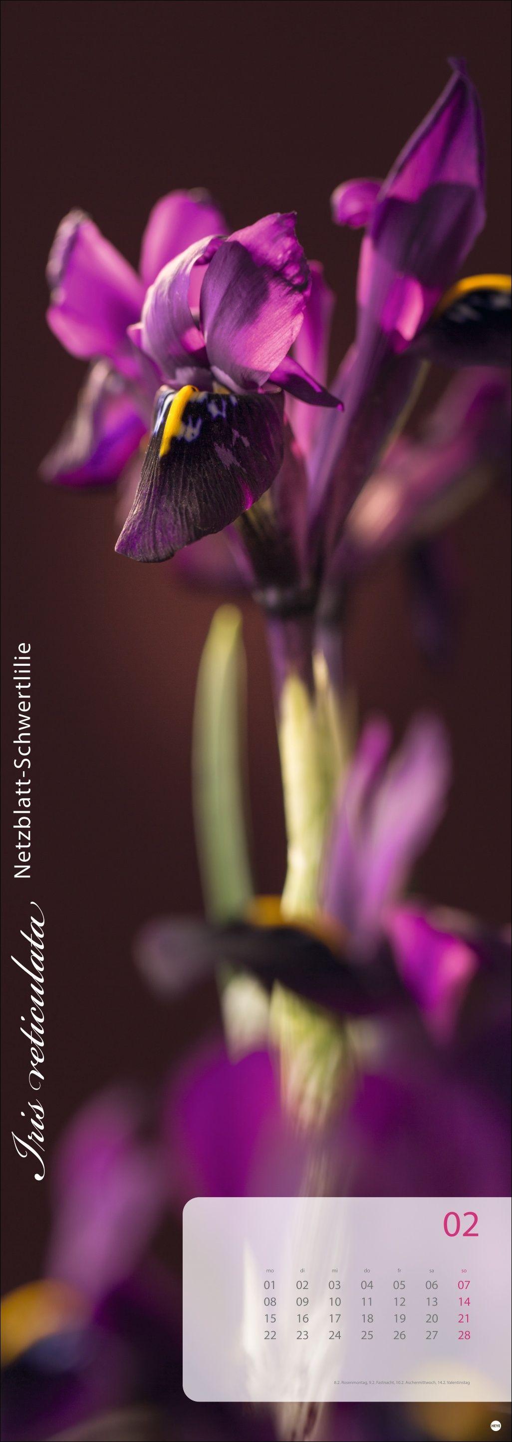 Beispielinhalt (Bild) Magic Flowers Vertical Kalender 2027