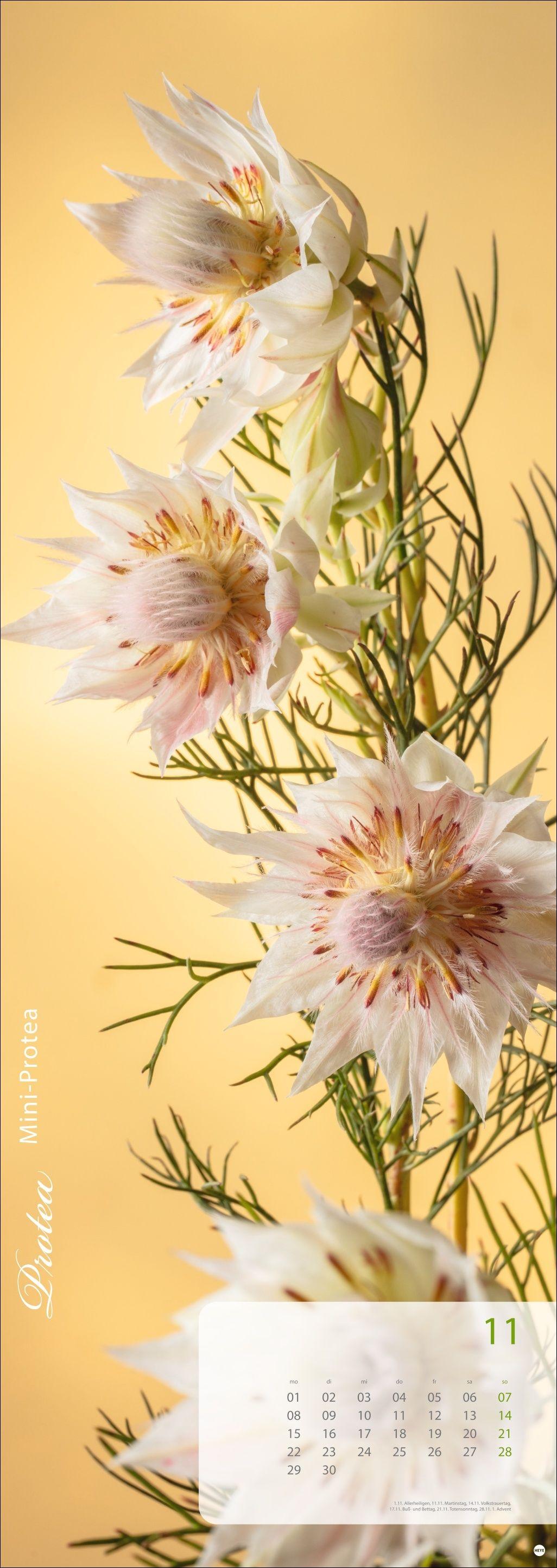 Beispielinhalt (Bild) Magic Flowers Vertical Kalender 2027