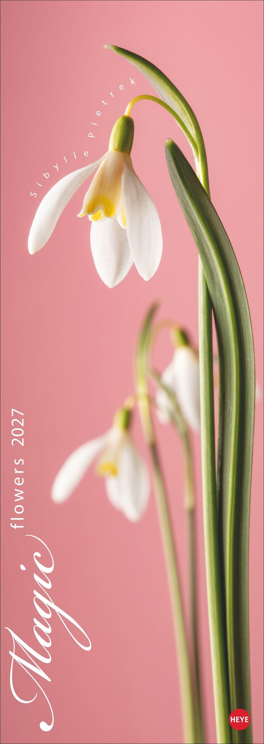 Vorderes Coverbild Magic Flowers Vertical Kalender 2027