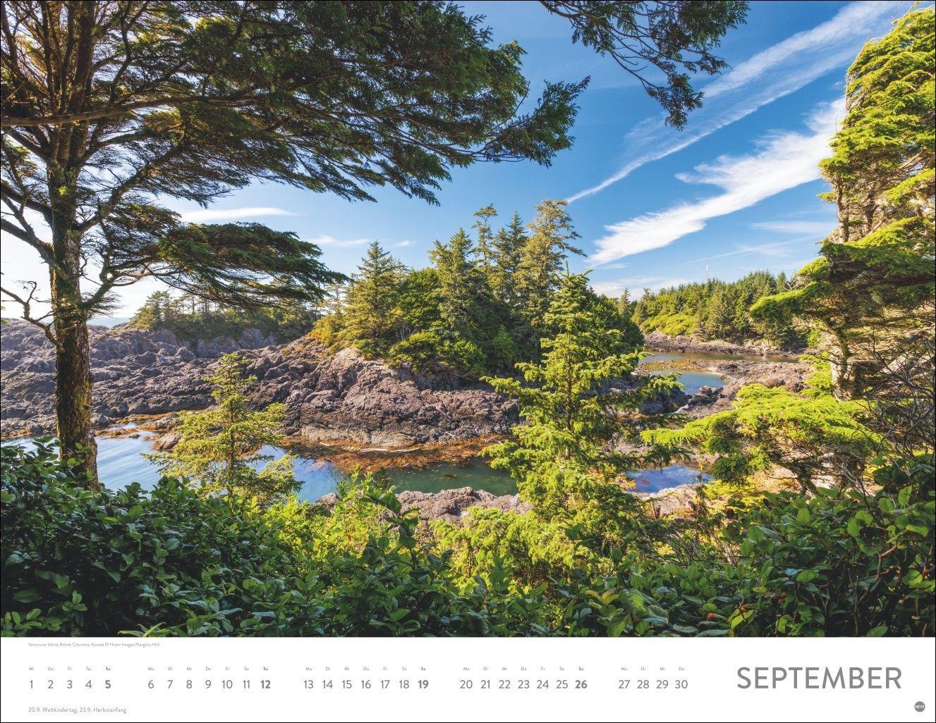 Beispielinhalt (Bild) Schönheit des Waldes Posterkalender 2027