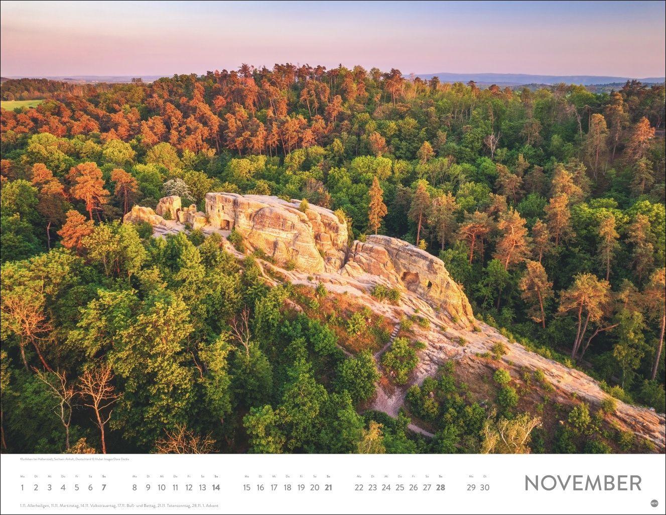 Beispielinhalt (Bild) Schönheit des Waldes Posterkalender 2027