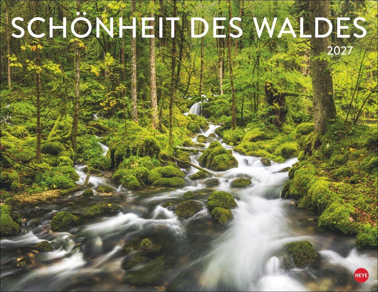 Vorderes Coverbild Schönheit des Waldes Posterkalender 2027