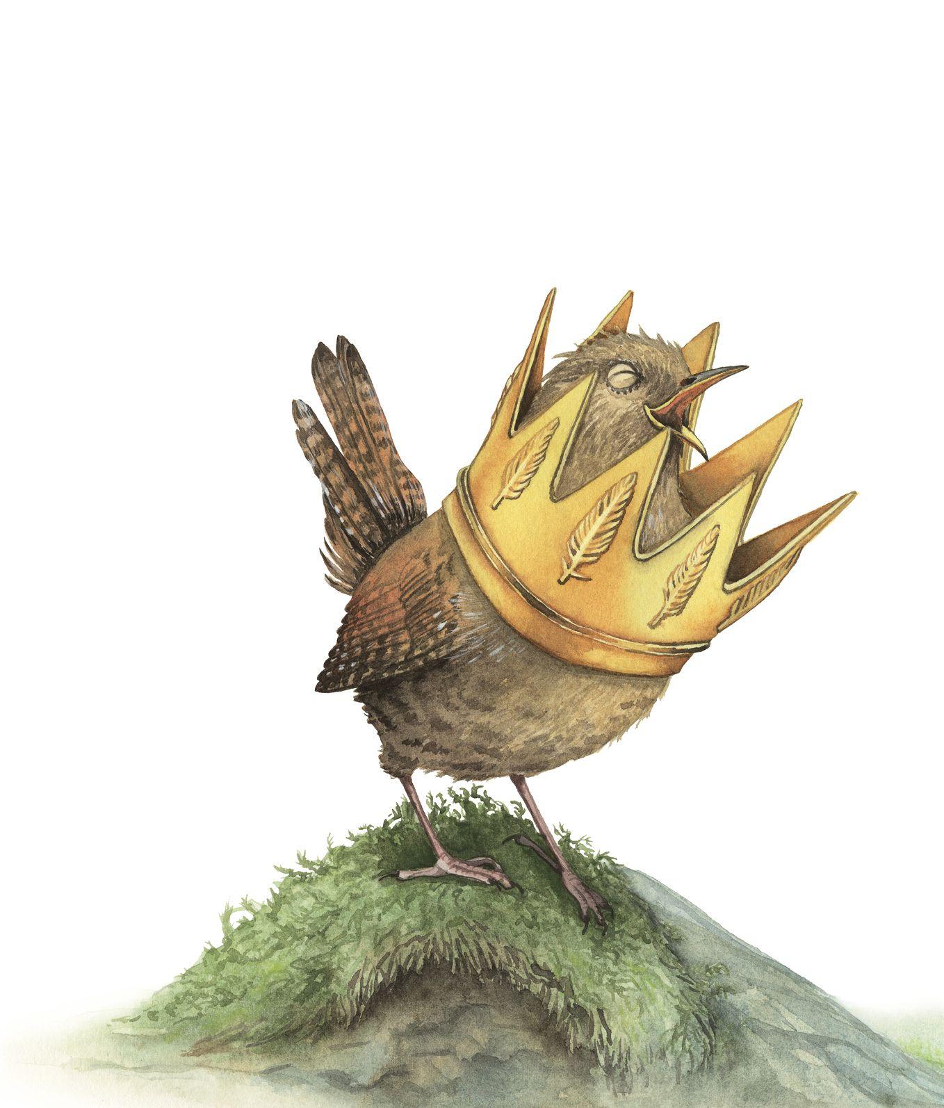 Beispielinhalt (Bild) Der Zaunkönig