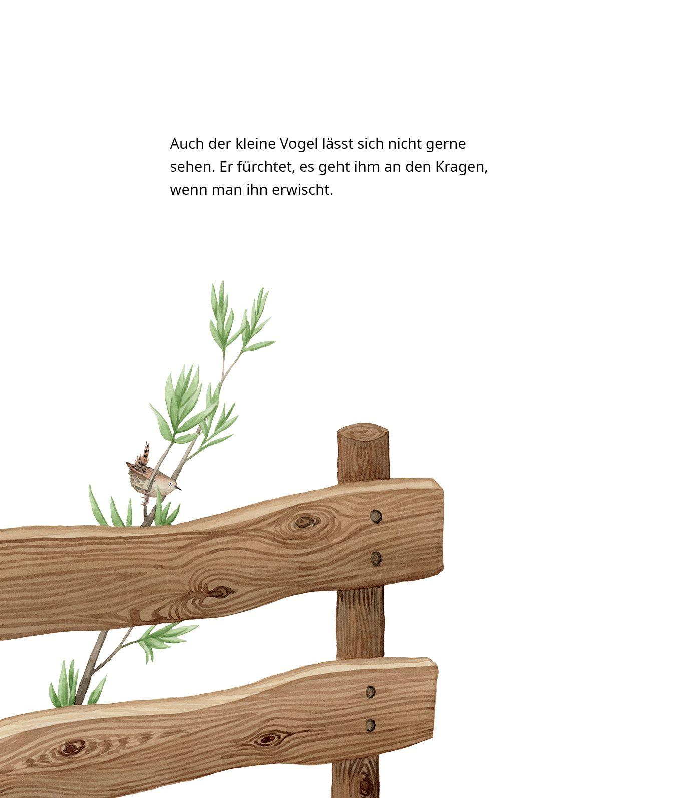 Beispielinhalt (Bild) Der Zaunkönig