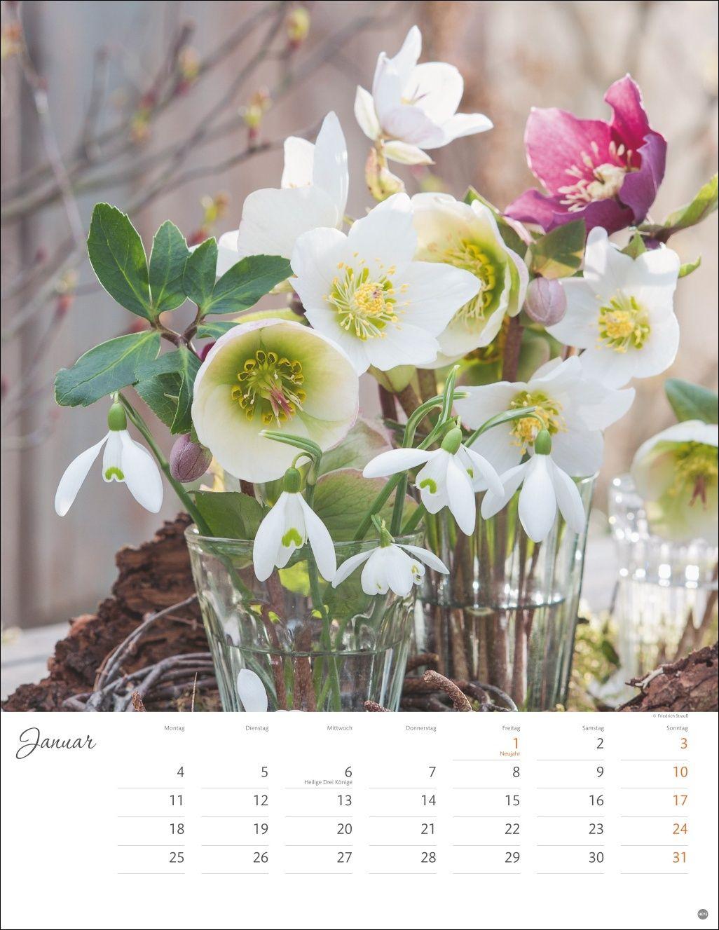 Beispielinhalt (Bild) Bunter Blütenzauber Posterkalender 2027