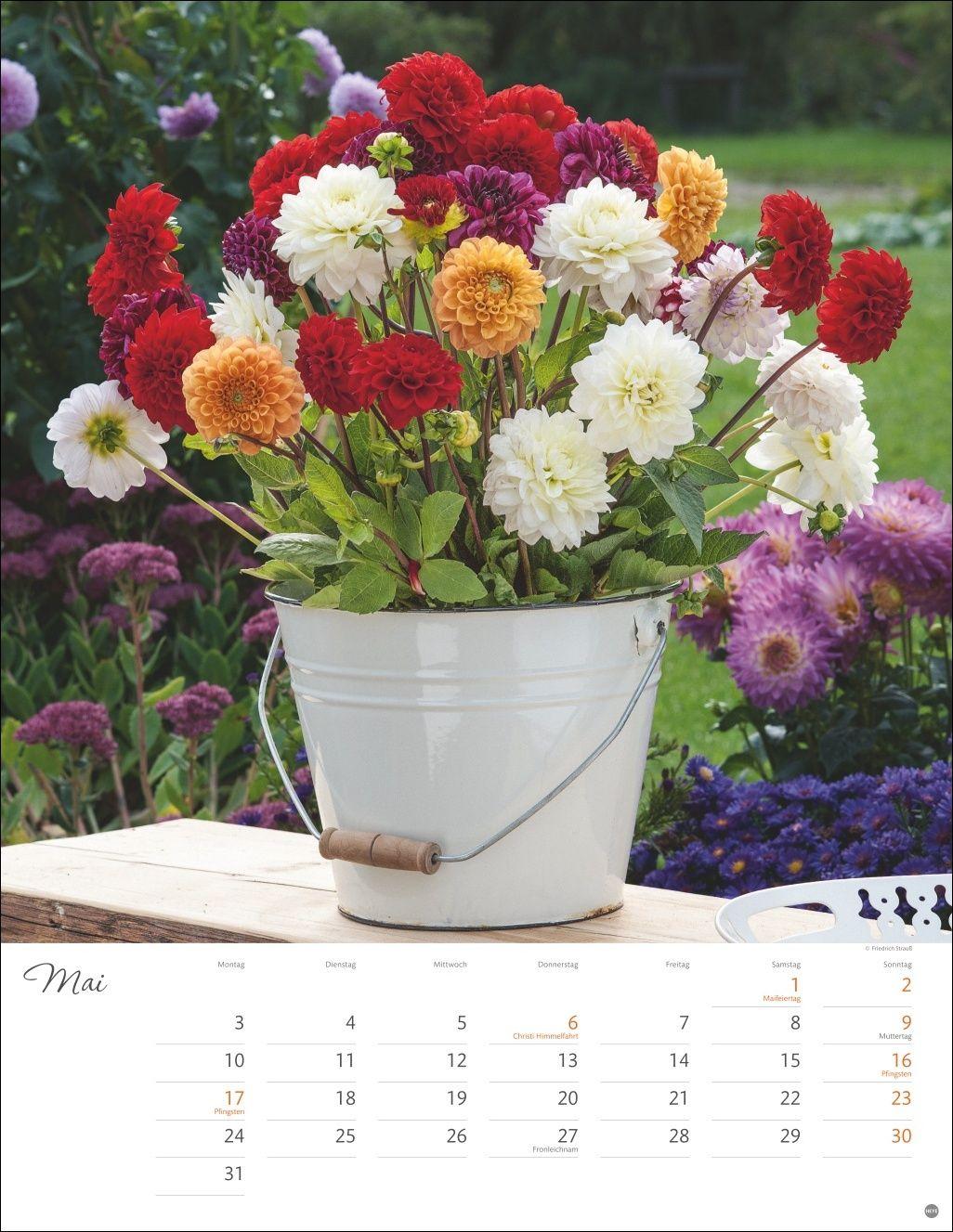 Beispielinhalt (Bild) Bunter Blütenzauber Posterkalender 2027