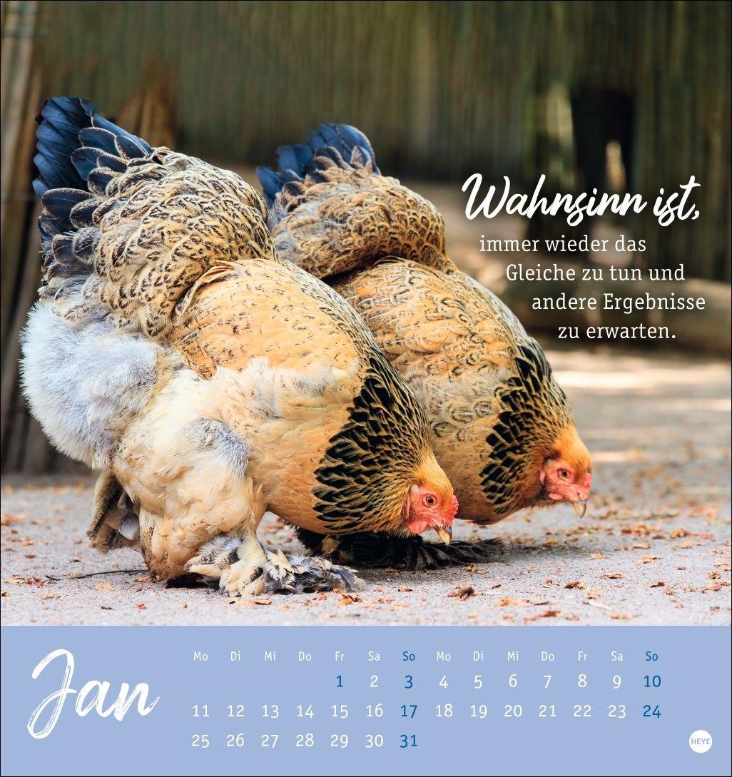 Beispielinhalt (Bild) Hühner Postkartenkalender 2027 - Ach, du verrücktes Huhn!