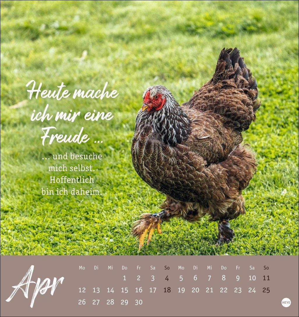 Beispielinhalt (Bild) Hühner Postkartenkalender 2027 - Ach, du verrücktes Huhn!