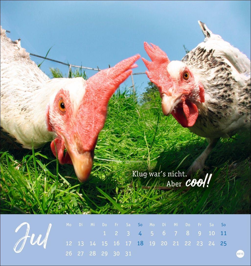 Beispielinhalt (Bild) Hühner Postkartenkalender 2027 - Ach, du verrücktes Huhn!