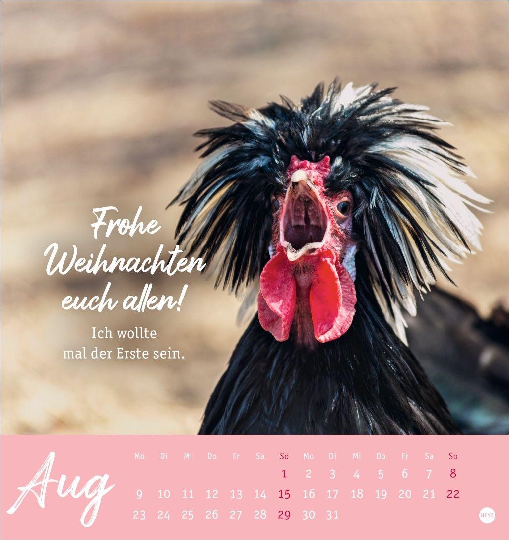 Beispielinhalt (Bild) Hühner Postkartenkalender 2027 - Ach, du verrücktes Huhn!