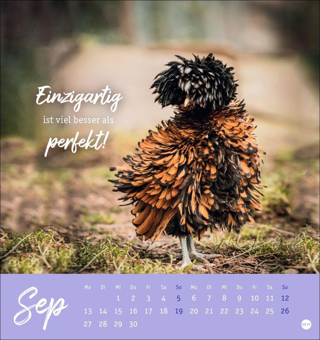 Beispielinhalt (Bild) Hühner Postkartenkalender 2027 - Ach, du verrücktes Huhn!