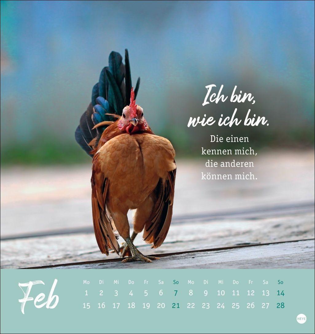 Beispielinhalt (Bild) Hühner Postkartenkalender 2027 - Ach, du verrücktes Huhn!