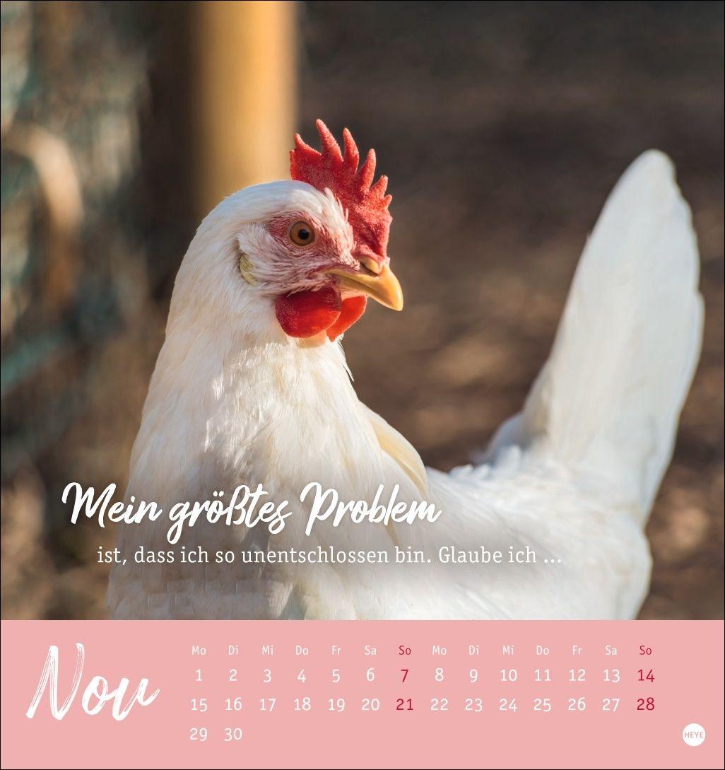 Beispielinhalt (Bild) Hühner Postkartenkalender 2027 - Ach, du verrücktes Huhn!