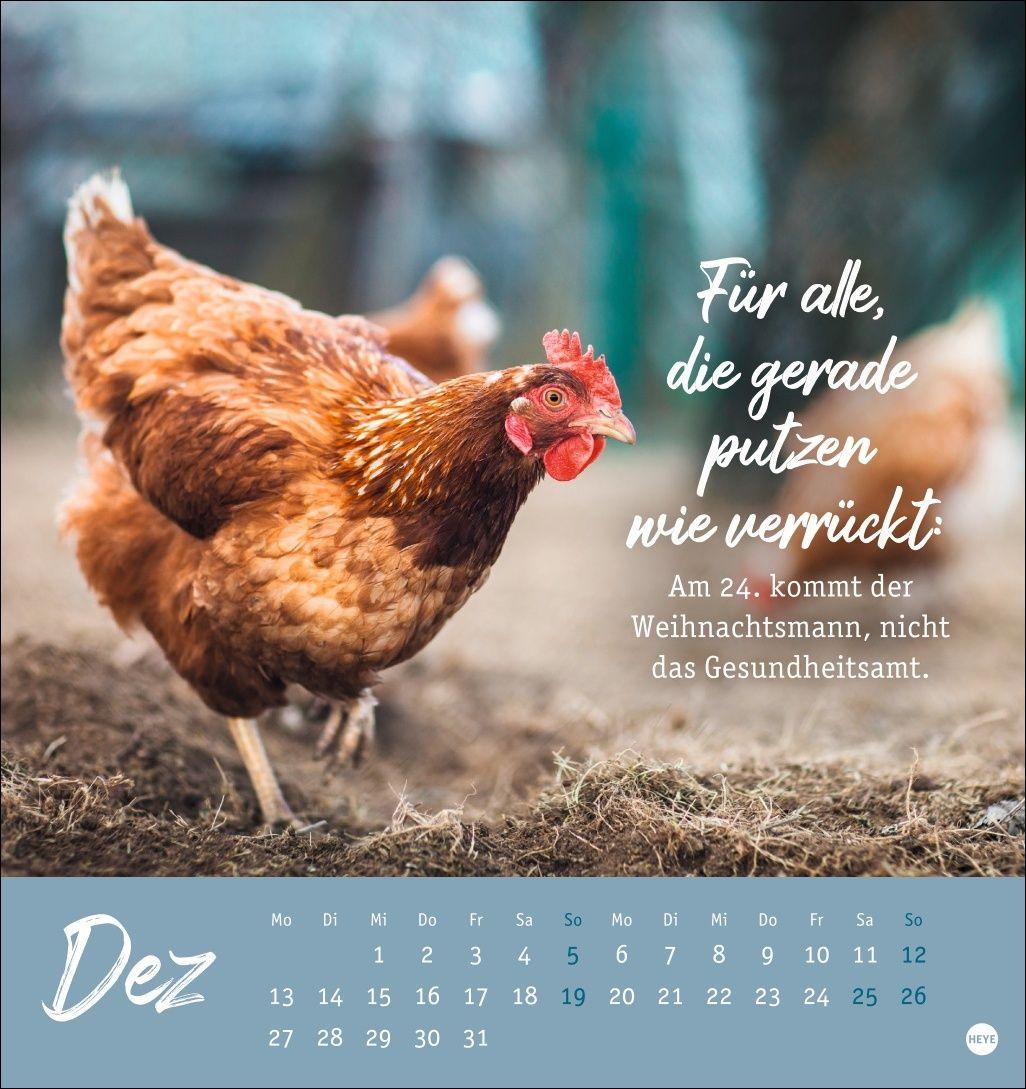 Beispielinhalt (Bild) Hühner Postkartenkalender 2027 - Ach, du verrücktes Huhn!