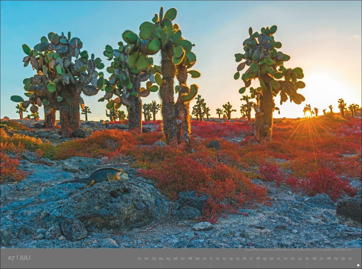 Beispielinhalt (Bild) Südamerika - Edition Alexander von Humboldt Kalender 2027